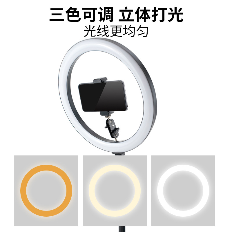 데스크탑 링 라이트 오버헤드 폰 스탠드 (사진 촬영 및 - Photography Lighting Overhead 리뷰 및 가격