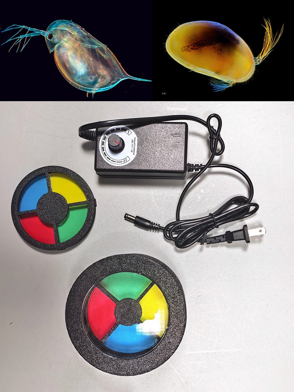 마이크로 사진 촬영용 다크필드 매크로 플래시 - 반투명 - Photography Lighting Diy 리뷰 및 가격